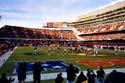 Bears_Game