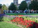 Chicago-Park7