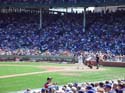 Chicago_Cubs_Game7